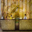 Golden Silk Boutique Hotel