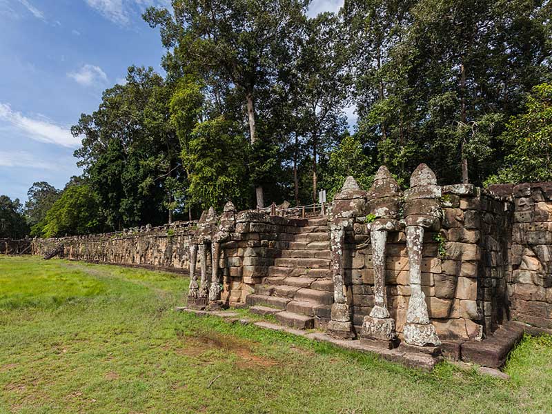 elephant-terrace