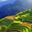 Sapa