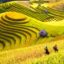 Sapa-Tours