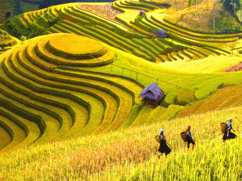 Sapa-Tours