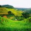 Sapa Weather