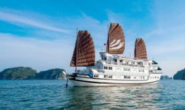 Bhaya-Classic-Cruise