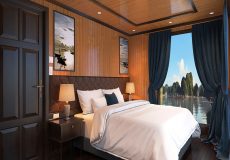 Luxury-Flamingo-Cruise