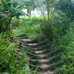 Pha Tad Ke Botanical Garden