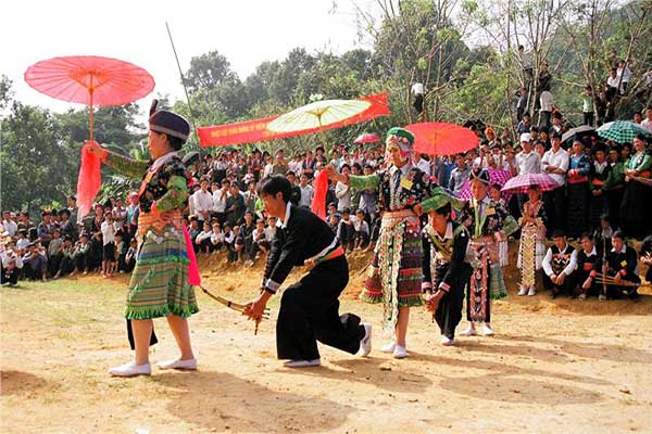 Sapa