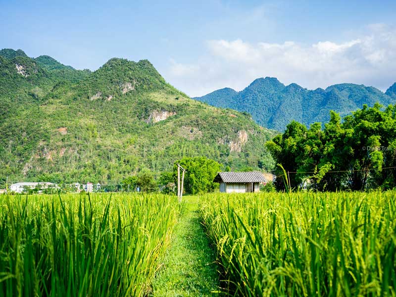 Mai-Chau-Valley
