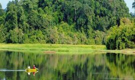 Nam-Cat-Tien-National-Park