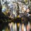 Phong-Nha-Cave
