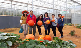 Da-Lat-Countryside-Full-Day-Tour