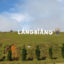 Langbiang-Mountain