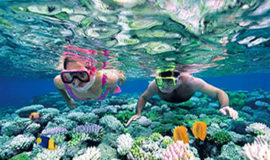 Nha-Trang-Island-and-Snorkeling-Tour