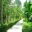 Thuy-Bieu-Eco-Village