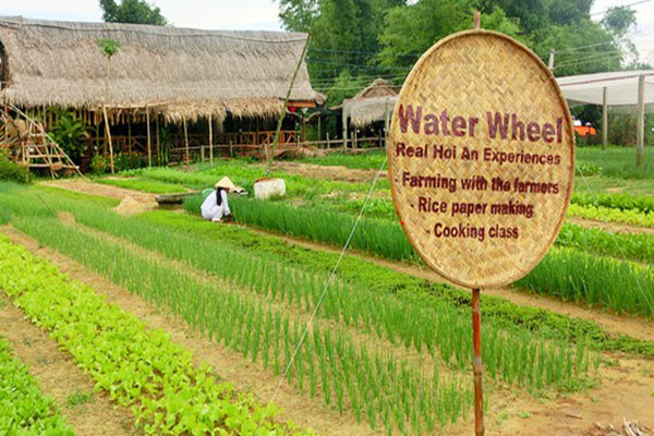 Tra-Que-Herb-Village