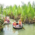 Bay Mau coconut forest