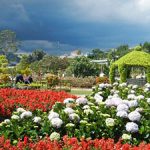 Da Lat flower garden