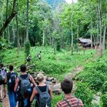 Cuc Phuong National park