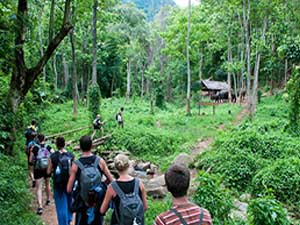 Cuc Phuong National park
