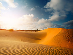 Red Sand Dunes