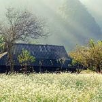 Vietnam Weather in March